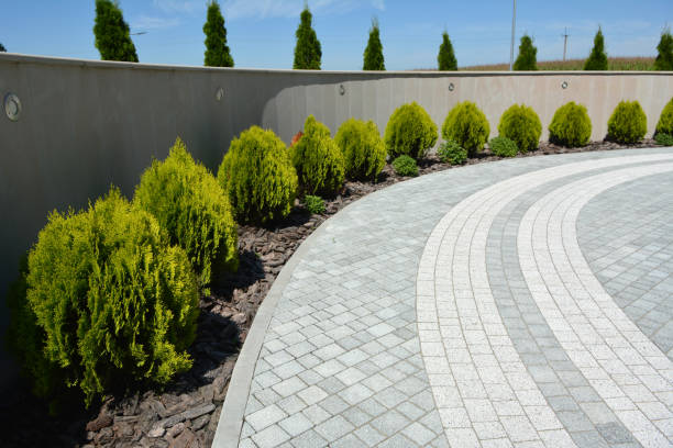 Best Driveway Pavers Near Me  in Magalia, CA